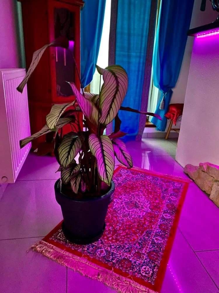 Pensjonat Koliber Sobkow Bagian luar foto